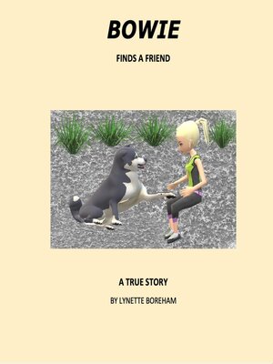 cover image of BOWIE FINDS a FRIEND